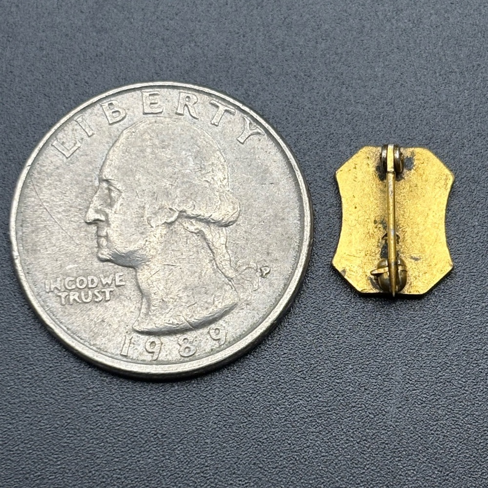 Gold-Tone Pin